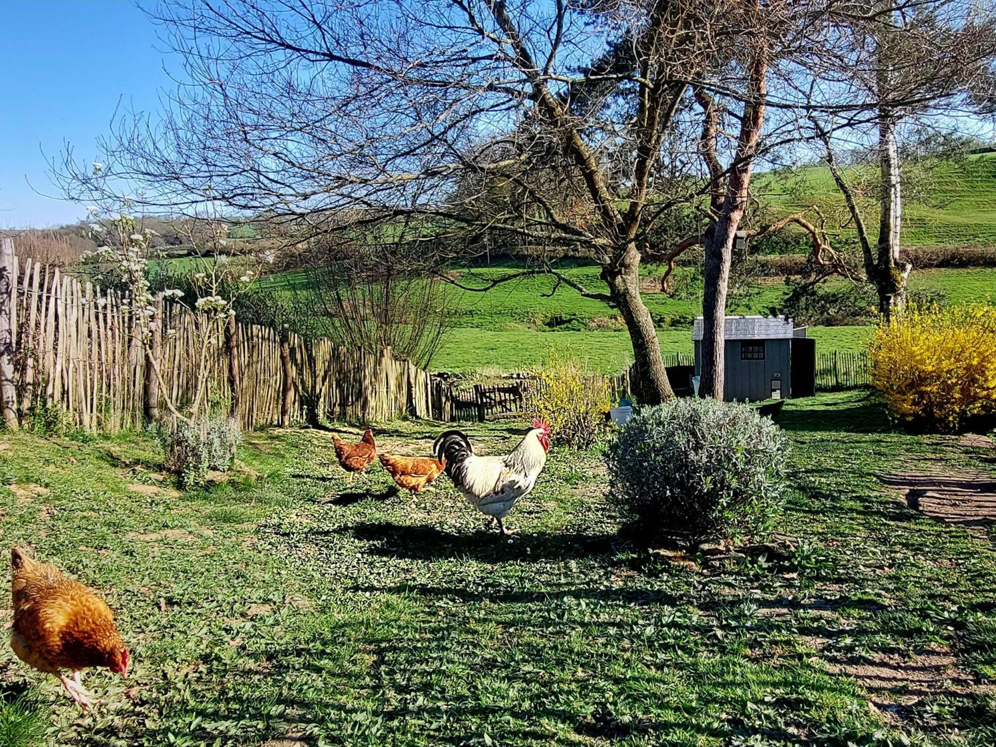 Maison Du Grand Moulin Saint-Aubin-en-Charollais Dış mekan fotoğraf