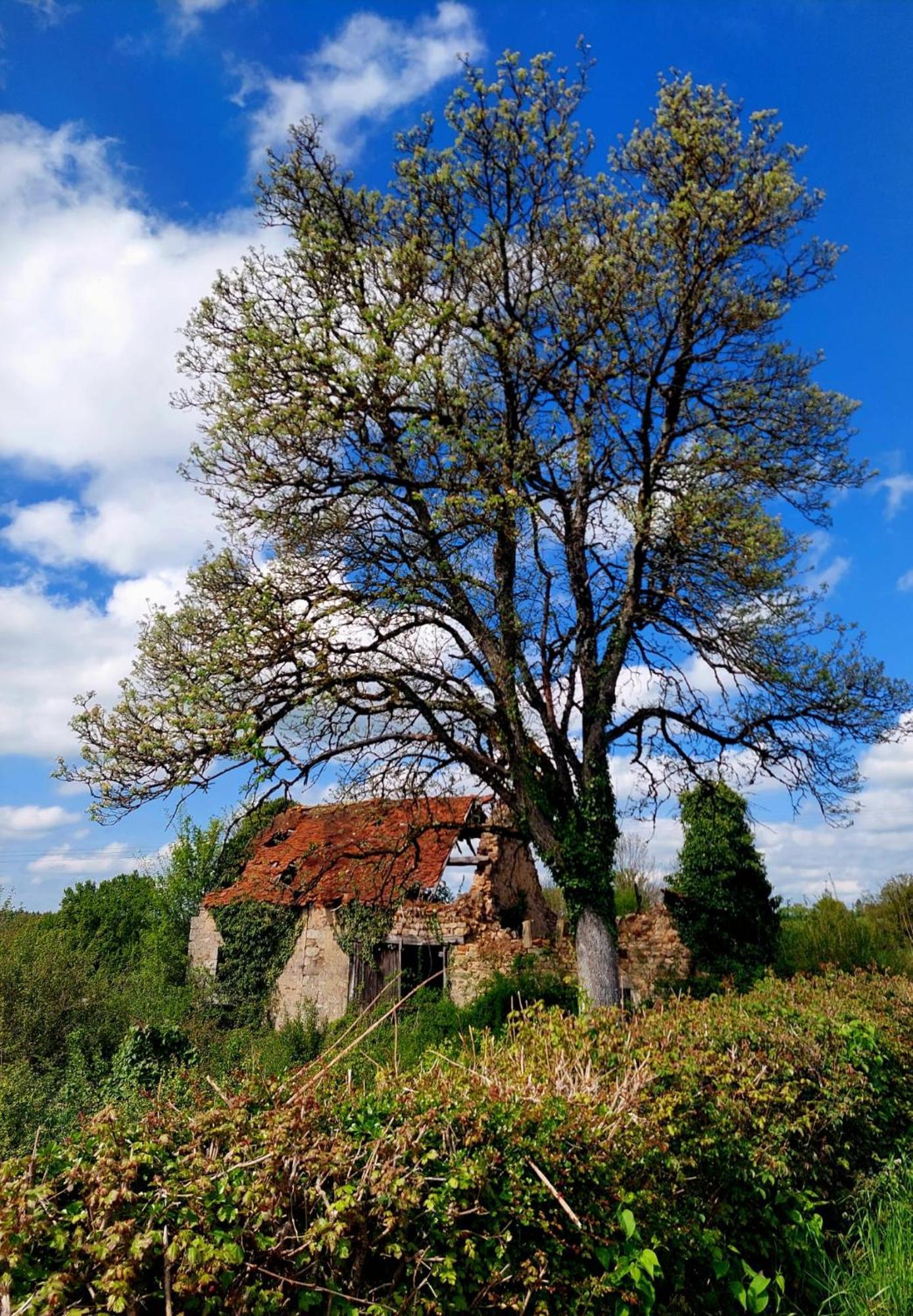 Maison Du Grand Moulin Saint-Aubin-en-Charollais Dış mekan fotoğraf